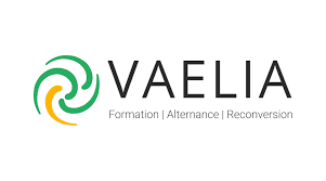 Logo Vaelia